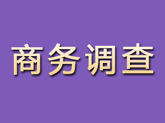 隆子商务调查